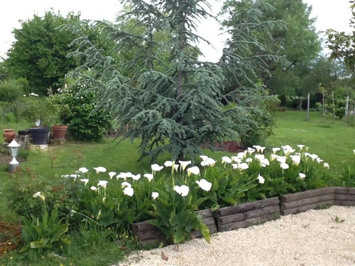 Bed and Breakfast Chambre D'Hotes Bleue A Azay-Le-Ferron - Fr-1-591-452 Zewnętrze zdjęcie